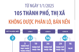 Tin Tức