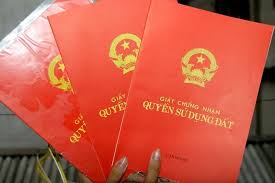 Tin Tức